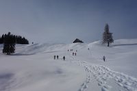 2025 Schneeschuhwandern im Allg&auml;u