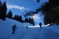 2025 Schneeschuhwandern im Allg&auml;u